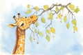 a giraffe reaching up to eat leaves from a tree