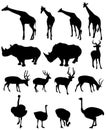 Giraffe,rhinoceros, deer,ostrich