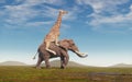 Giraffe riding an elephant on field. F