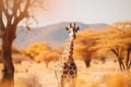 giraffe in the savannah of africa in the wild.