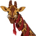 Giraffe in a scarf