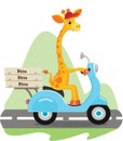 Giraffe on the scooter delivers pizza. Vector ilustration.