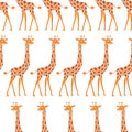 Giraffe - seamless pattern. Cute animals on a white background.