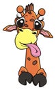 Giraffe showing tongue