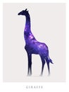 Giraffe silhouette. Isolated abstract animal outline. Night starry sky