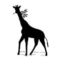 Giraffe, silhouette. Vector stock illustration eps10. Isolate on white background, outline, hand drawing. Royalty Free Stock Photo