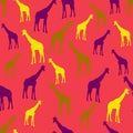 Giraffe silhouettes vector seamless pattern Royalty Free Stock Photo