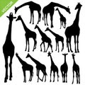 Giraffe silhouettes vector Royalty Free Stock Photo