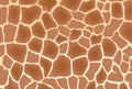 Giraffe skin background textured Royalty Free Stock Photo