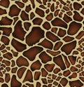 Giraffe skin pattern Royalty Free Stock Photo