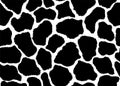 Giraffe skin pattern texture repeating seamless monochrome black and white. Vector. Texture giraffe. Fashionable print. Royalty Free Stock Photo