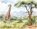 giraffe standing in a jungle nature environment.