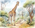 giraffe standing in a jungle nature environment.