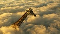 The giraffe stands tall and proud above the clouds