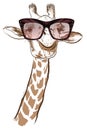 Giraffe with sunglasses