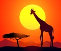 Giraffe & Sunset-vector