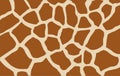 Giraffe texture