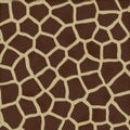 Giraffe Texture Background Fur