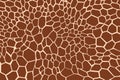 Giraffe texture pattern brown burgundy white