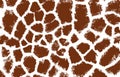 Giraffe texture pattern brown white llustration background print