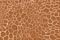Giraffe texture pattern tile brown burgundy white safari zoo jungle