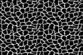 Giraffe texture pattern seamless repeating