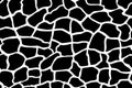 Giraffe texture pattern seamless repeating black white