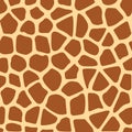 Giraffe texture