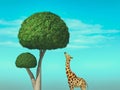 Giraffe tree concept