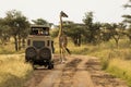 Giraffe with trees in background during sunset safari in Serengeti National Park, Tanzania. Wild nature of Africa. Safari car in Royalty Free Stock Photo