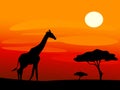 Giraffe and trees during sunset