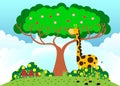Giraffe under tree in sunny weather
