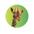 Giraffe vector animal wild african tall nature Royalty Free Stock Photo