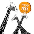 Giraffe vector animal wild african tall Royalty Free Stock Photo
