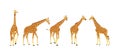 Giraffe vector illustration isolated on white background. African animal. Tallest animal. Safari trip attraction. Big five. Group