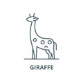 Giraffe vector line icon, linear concept, outline sign, symbol Royalty Free Stock Photo