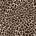 Giraffe vector seamless pattern, detailed repeat Royalty Free Stock Photo