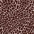 Giraffe vector seamless pattern, detailed with textured furry edges Royalty Free Stock Photo