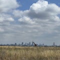 Giraffe walking in Nairobi NP