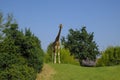 Giraffe walking in the woods across blue sky on sunny day. Wildlife nature. African nature Royalty Free Stock Photo