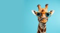 Retro Glamor: Giraffe Wearing Sunglasses On Blue Background