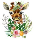 Giraffe. wild animals watercolor illustration Royalty Free Stock Photo