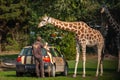 A giraffe and a worker at the Serengeti park zoo in Germany Royalty Free Stock Photo