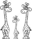 Giraffes family Royalty Free Stock Photo