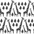 Giraffes family seamless pattern. Safari animal background. Black and white illustration savannah. Royalty Free Stock Photo