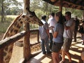 Giraffes at Langata,Nature Education Centre, Nairobi