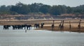 Giraffes looking at elephants drinking in the river Royalty Free Stock Photo