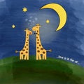 Giraffes in love at night on a meadow
