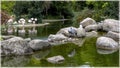 Flamingos in the Lyon Zoo  within the Parc de la Tete d'Or Royalty Free Stock Photo