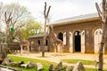 Giraffes near a barn surrounded by trees in a zoo in London